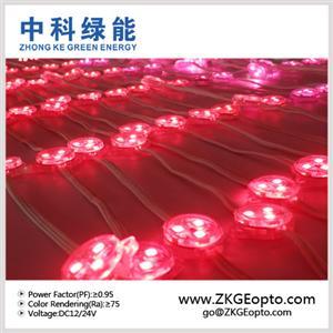 LED点光源在亮化工程中的应用 照明栏目的前沿突破